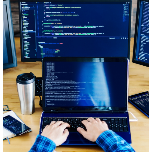 WordPress Development